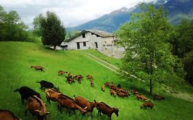 Borgo Nella Natura Ca' Di Facch